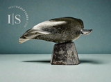 10" Beluga Whale by Louie Uttaq  Gjoa Haven *Guarding the Rear*