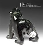6" Walking Bear by Guy Uniuqsaraq *Sniffer*