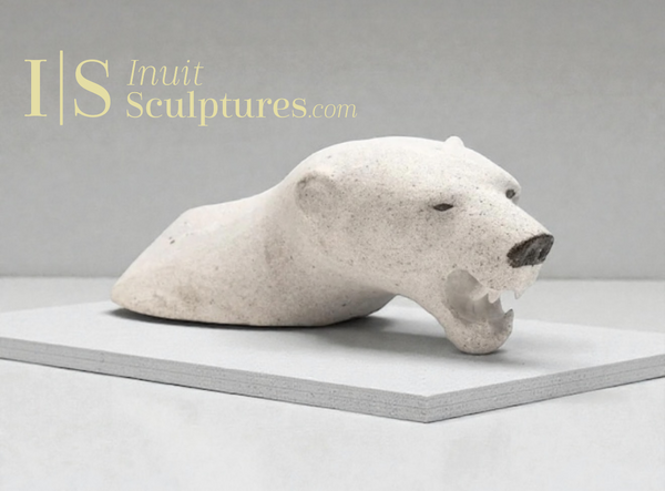 12" Polar Bear Head by Joseph Suqsiaq Gjoa Haven *Warrior Heart*