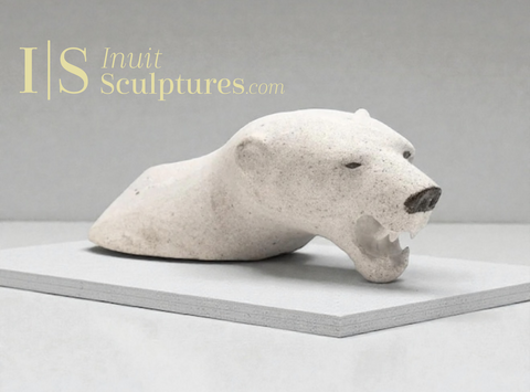 12" Polar Bear Head by Joseph Suqsiaq Gjoa Haven *Warrior Heart*