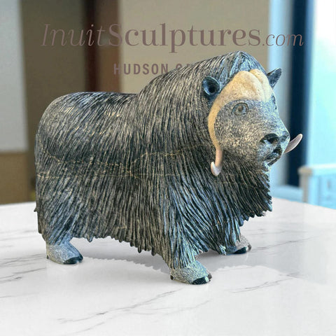14" SIGNATURE Muskox by Lucassie Ikkidluak *Full of Heart*