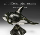 Orca SIGNATURE 6" par Johnnysa Mathewsie Family Jewels Two*