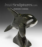 Orca SIGNATURE 6" par Johnnysa Mathewsie Family Jewels Two*