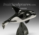 Orca SIGNATURE 7" par Johnnysa Mathewsie *Sparks*