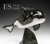 Orca SIGNATURE 7" par Johnnysa Mathewsie *Sparks*