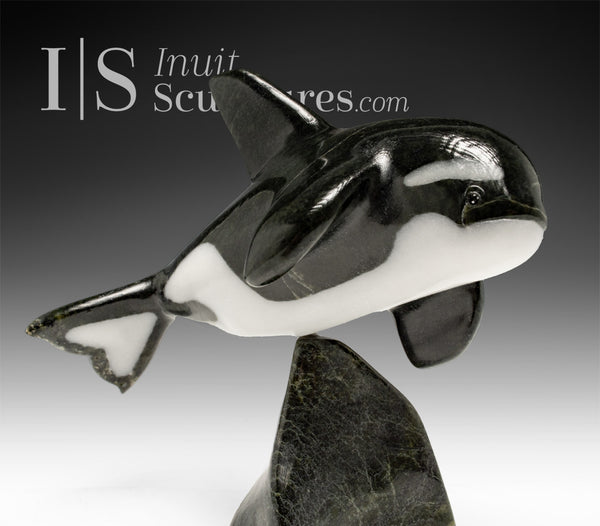 Orca SIGNATURE 7" par Johnnysa Mathewsie *Sparks*