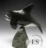 Orca SIGNATURE 7" par Johnnysa Mathewsie *Sparks*