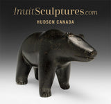 Vintage 6" Bear by Jacob Irkok *Grounded*