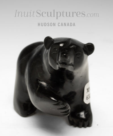 Ours qui marche 4" par David Shaa *Bryson*