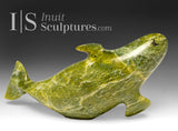 5" Beluga Whale by Pits Qimirpik *Voyager* EXHIBITION PIECE AUG 14