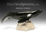 13” Blue Whale by Dale Ford *Colossus*