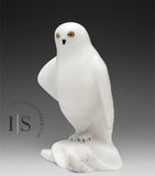 8" Snowy Owl (Uppik)  Derrald Taylor *Black Tie Affair*