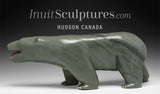 18" Walking Bear with Red Tongue by Jimmy Iqaluq *Storm*