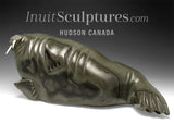 VINTAGE** 16" Basking Walrus by Samwillie Iqaluq *Titan*