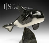 Orca SIGNATURE 7" par Johnnysa Mathewsie *Sparks*