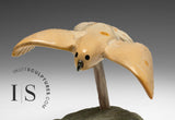 5" Bird in Flight by Kelly Etidloie *Breezy Days*