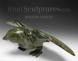 11" SIGNATURE Hawk by Killiktee Killiktee *Green Hawk Down*