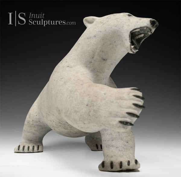 12" Polar Bear by Paul Malliki *Swipe Left*