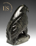 8" Ptarmigan (Bird) by Luke Kolola *Rocky*