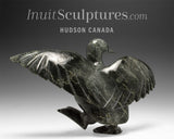 12" Dancing Goose  by Pudlalik Shaa *Goose Step*