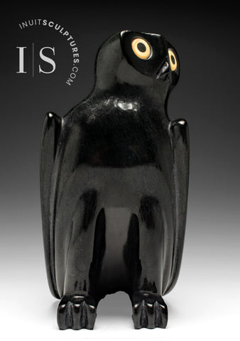 SIGNATURE 9" Hibou parfaitement poli par Sam Qiatsuk *Réglisse noire*