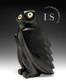 SIGNATURE 9" Hibou parfaitement poli par Sam Qiatsuk *Réglisse noire*