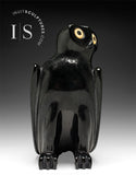 SIGNATURE 9" Hibou parfaitement poli par Sam Qiatsuk *Réglisse noire*