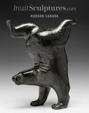 6” SIGNATURE Diving Bear by Tim Pee *Magic Mike*