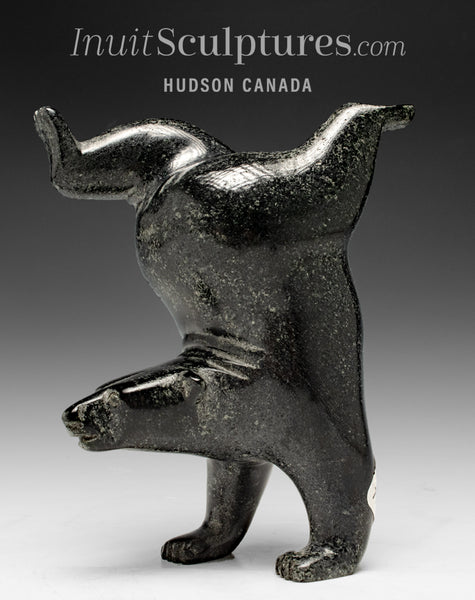 6” SIGNATURE Diving Bear by Tim Pee *Magic Mike*