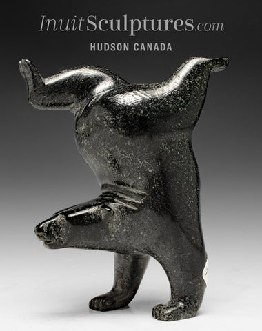 6” SIGNATURE Diving Bear by Tim Pee *Magic Mike*