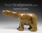 RESERVED** 17" Walking Bear by Adamie Quamagiaq *King*