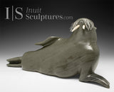 14" SIGNATURE Walrus par Jimmy Iqaluq *Prenez la pose*