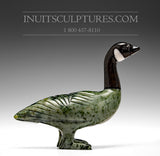 5" Unique Green Colored Canada Goose by Johnysa Mathewsie