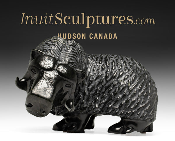 18" Muskox by Kelly Etidloie  *Richard The Musk Ox Hearted*