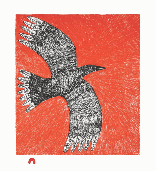 2019 Flight by NINGIUKULU TEEVEE