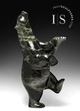 23" Dancing Bear by Etulu Adla *Molly*
