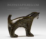 7" Dog by Kellyapik Etidloie