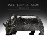 16" Muskox by Noah Jaw *Titanic*