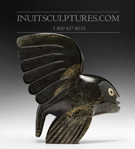 7" Flying Fish by Toonoo Sharky